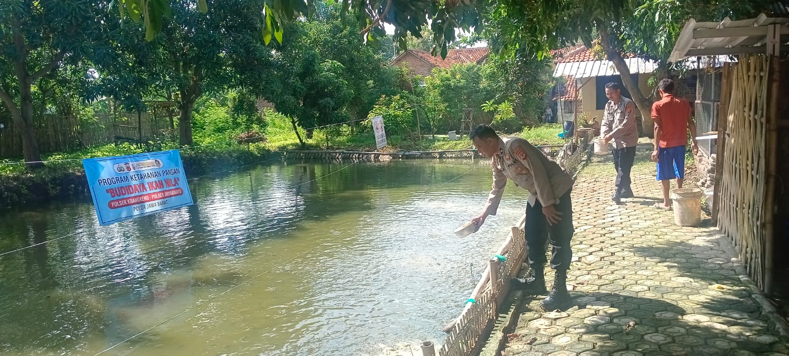 Polsek Krangkeng Kembangkan Budidaya Ikan Nila Untuk Program Ketahanan Pangan