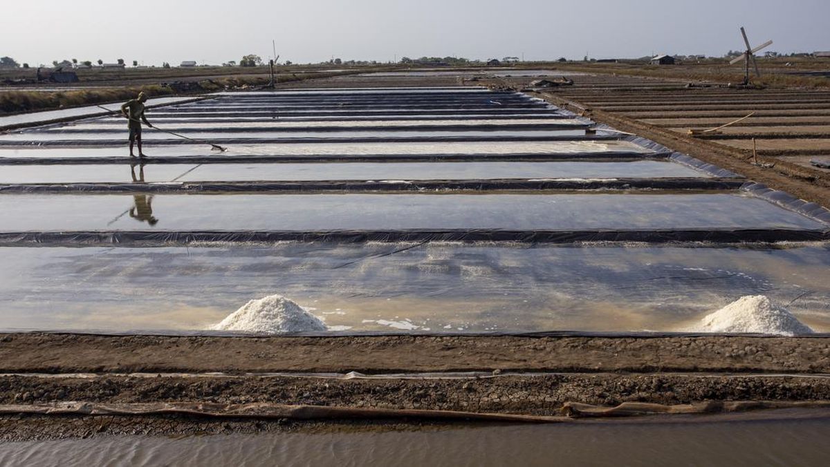 Potensi Pengolahan Garam